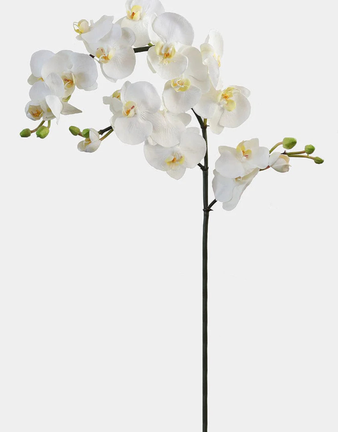 Artificial Orchid Stem