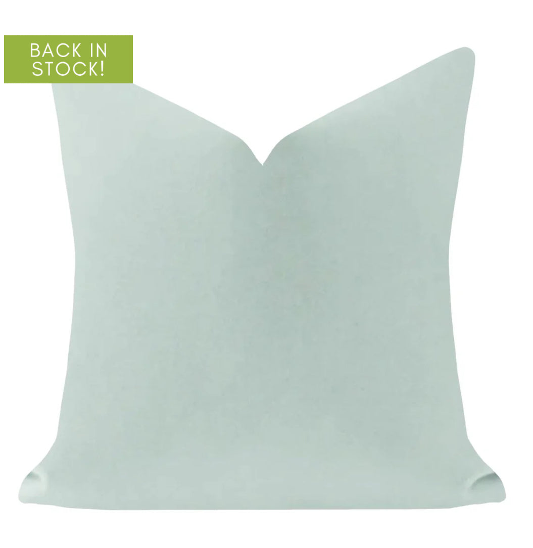 Robin's Egg 22x22 Solid Velvet Pillow
