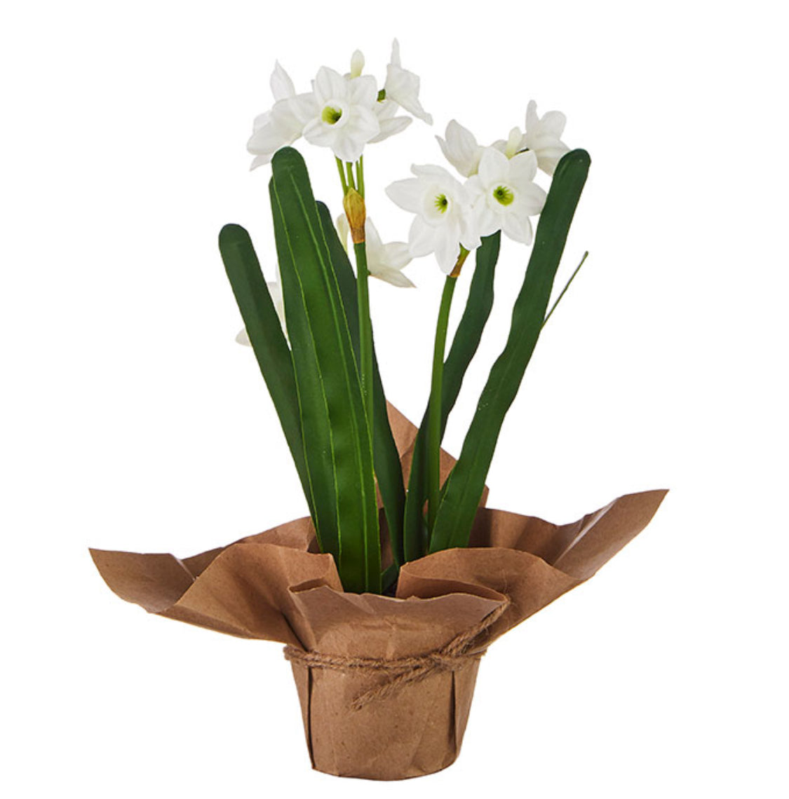 10.75" REAL TOUCH POTTED PAPERWHITES