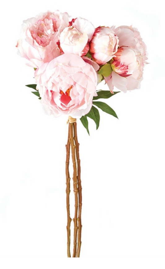 PEONY BUNDLE/3 LIGHT PINK