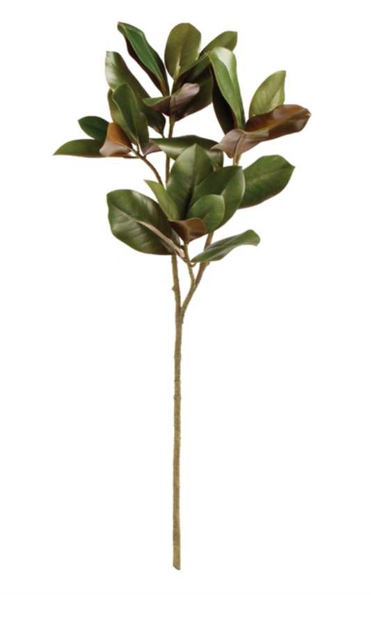 GRAND MAGNOLIA LEAF STEM 42.5"