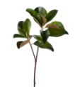 29" Green & Brown Magnolia Leaf Spray