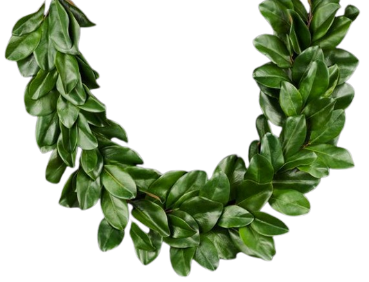 60" Green Magnolia Leaf Garland