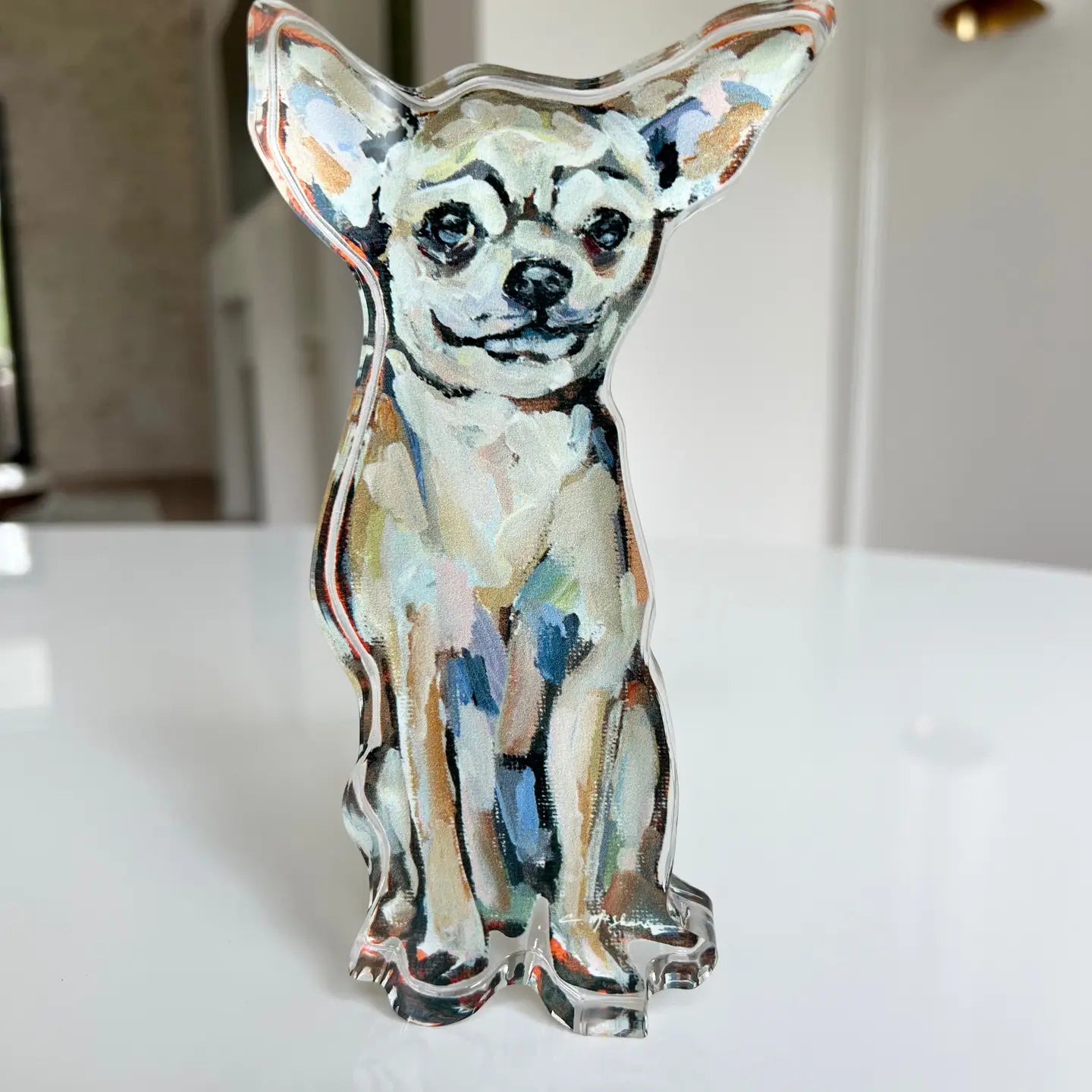Dog Acrylic Shelfie