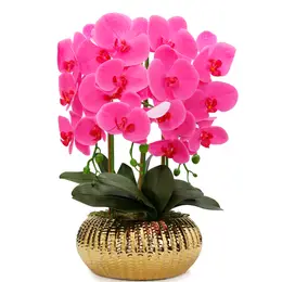 Pink Orchid Plant in Flat Round Gold Hammered Vase