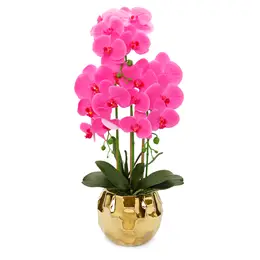 Pink Orchid plant in Round Gold Hammered vase