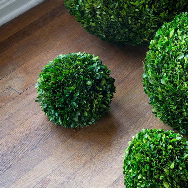 PH-10" Boxwood Ball
